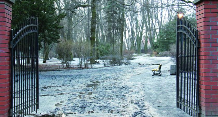 Park miejski odżyje.