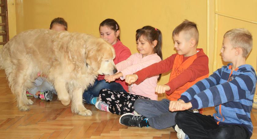Z psami za pan brat 
