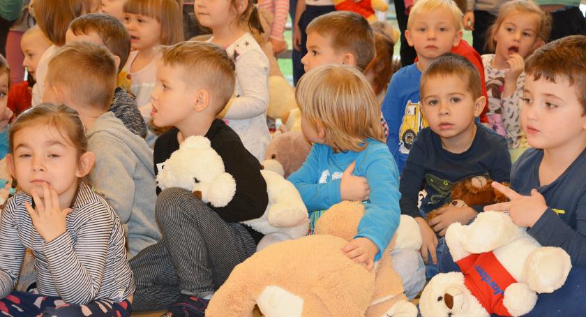 Święto Pluszowego Misia
