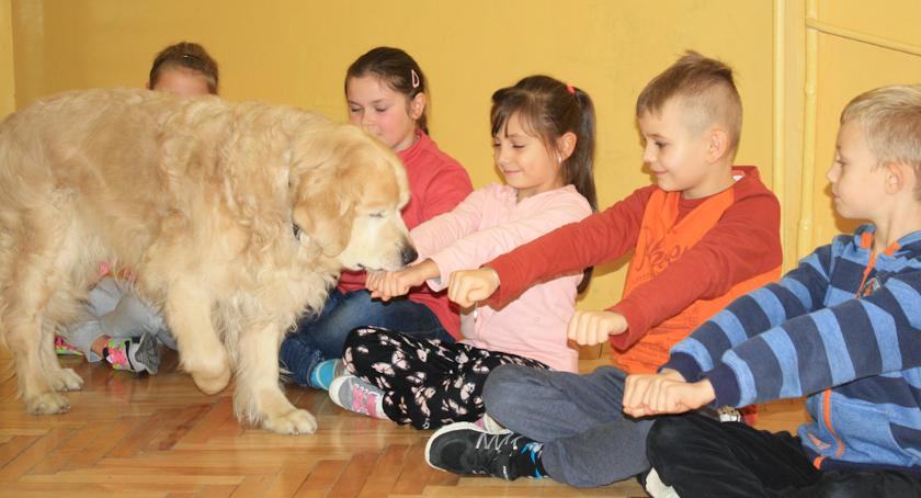Z psami za pan brat 