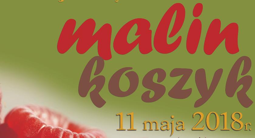 XIV Regionalny Festiwal Piosenki „Malin koszyk”