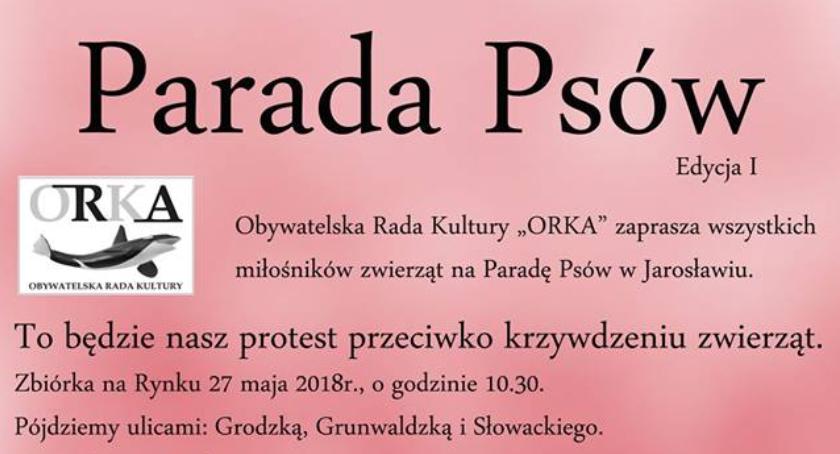 Parada Psów