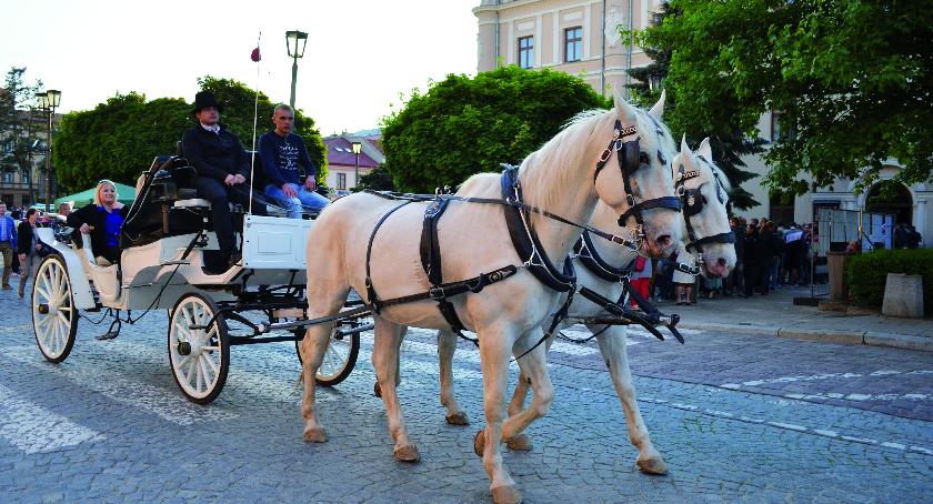 Już w sobotę noc Muzeów i Zwiedzania Rynku