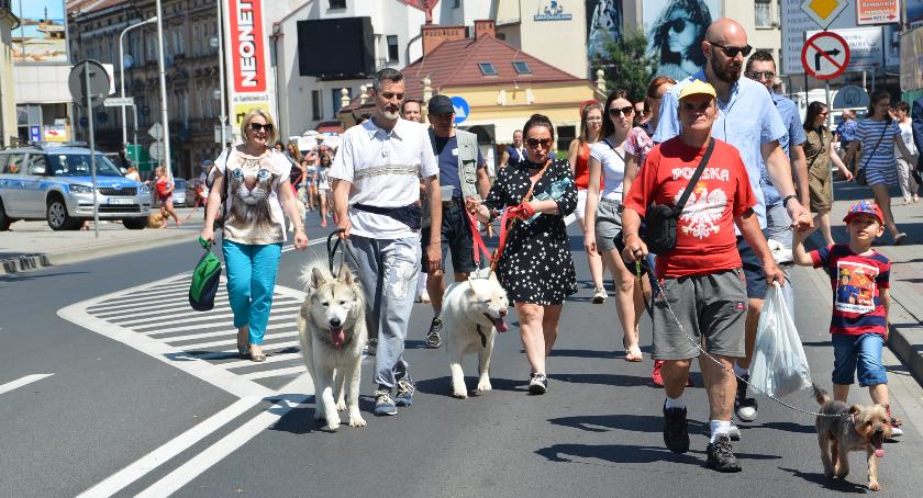 Parada Psów przeszła ulicami Jarosławia