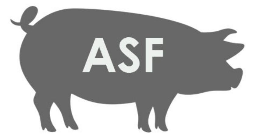 ASF w sąsiednim powiecie 