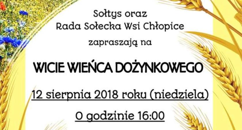 Wicie wieńca dożynkowego w Chłopicach