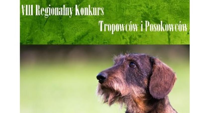 VIII Regionalny Konkurs Pracy Psów Tropowców i Posokowców 