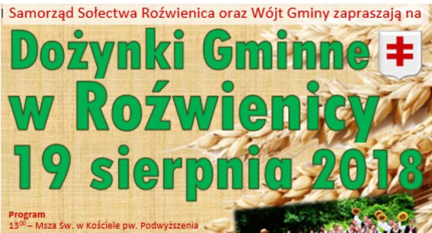 Dożynki Gminne w Roźwienicy