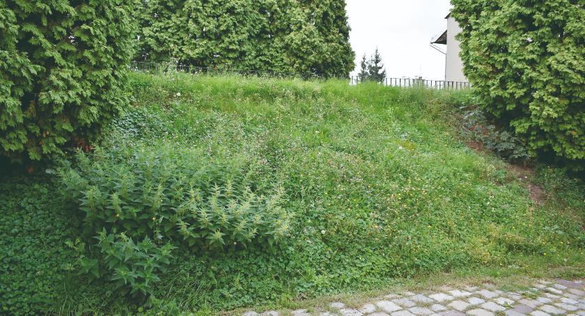 Okiem Czytelnika