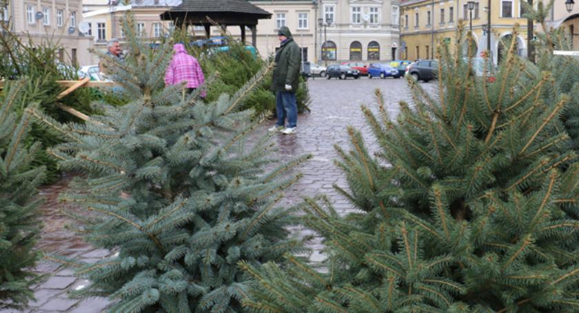 Oddaj niepotrzebną choinkę