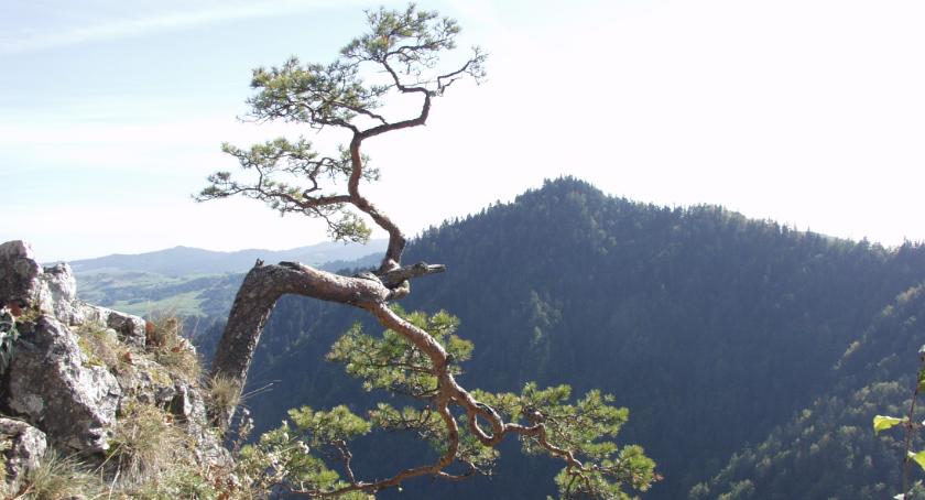 Pieniny i kolędowanie z Akademikami