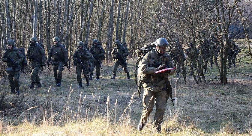 Intensywny rok „Terytorialsów”