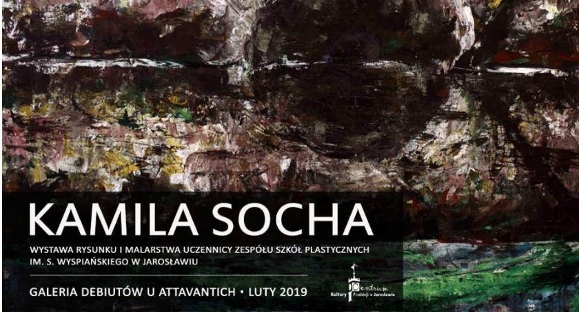 Wystawa Kamili Sochy 