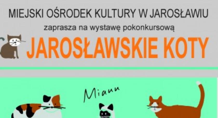 Wystawa JAROSŁAWSKIE KOTY