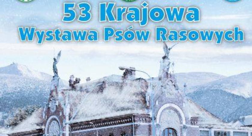 53 Krajowa Wystawa Psów Rasowych