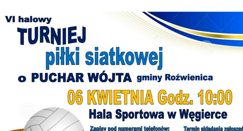 VI halowy turniej piłki siatkowej o Puchar Wójta gminy Roźwienica