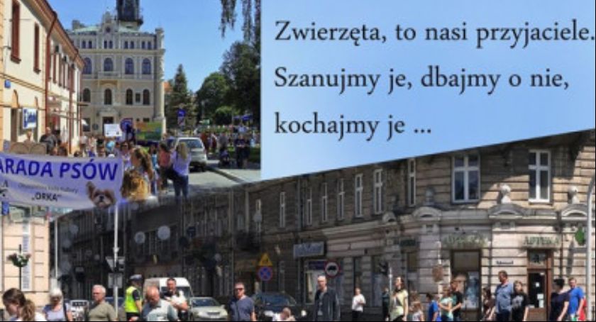 II Parada Psów 
