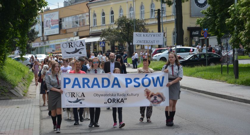 II Parada Psów w Jarosławiu