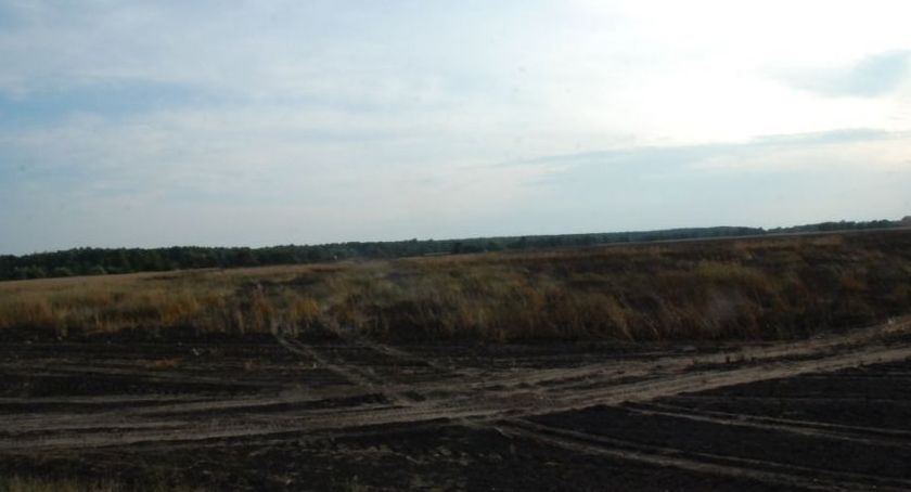 Spłonęło 40 hektarów pszenicy 