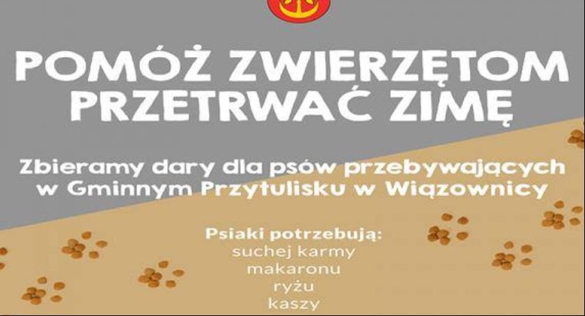Pomagamy pieskom z przytuliska w Wiązownicy