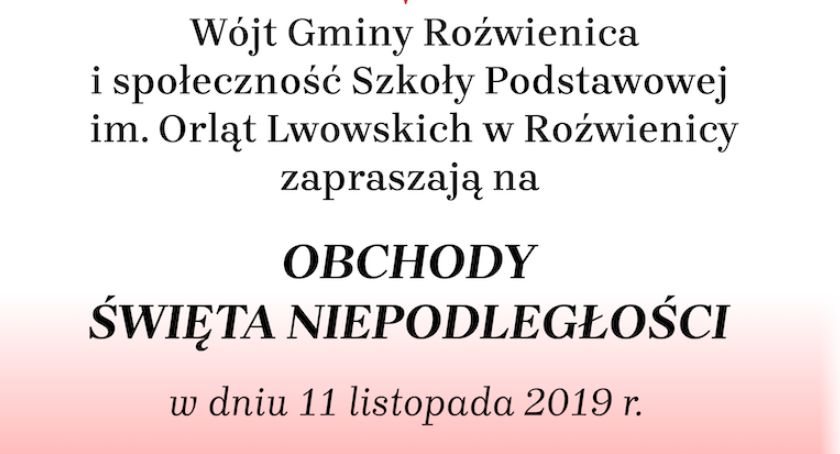 Narodowe Święto Niepodległości w Roźwienicy