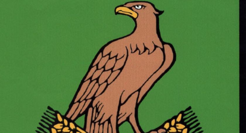 Dla osób dotkniętych przemocą domową 