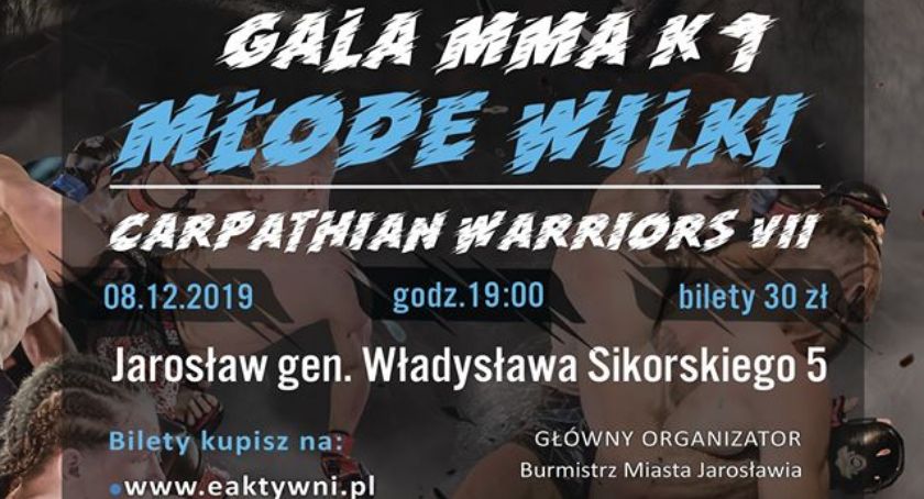 Gala MMA K1 Młode Wilki- Carpathian Warriors VII
