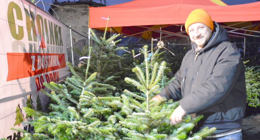 Rozmowa z Alanem Samlickim, sprzedawcą jodły kaukaskiej