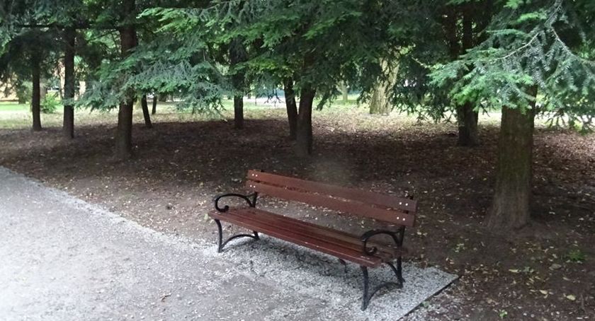 Park miejski, ogródek jordanowski i Stary Cmentarz zamknięte z powodu silnego wiatru 