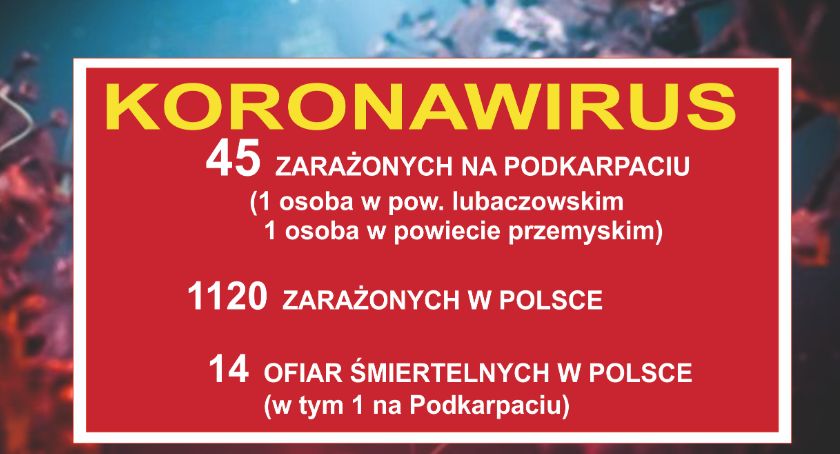 8 nowych osób zakażonych na Podkarpaciu. W tym małe dziecko