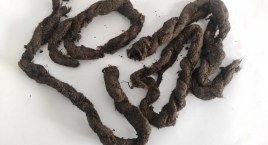 Szubienica czy pręgierz? Archeologowie znaleźli na Rynku belki z XV wieku i sznur 