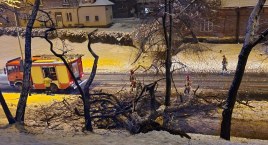 Strażacy usunęli konary drzewa, które runęło przy ulicy Tarnowskiego w Jarosławiu
