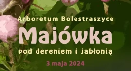 Majówka pod dereniem i jabłonią