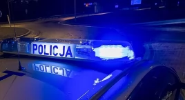 Renault zderzyło się z łosiem w Skołoszowie. Po chwili na leżące na jezdni zwierzę najechało bmw