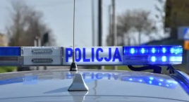 Strażak odnalazł poszukiwanego mieszańca DPS-u  