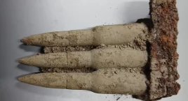 Amunicja i szczątki ludzkie znalezione podczas plant…