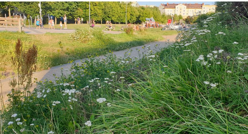Spór o koszenie trawy na strzelnicy ma niebawem się rozstrzygnąć