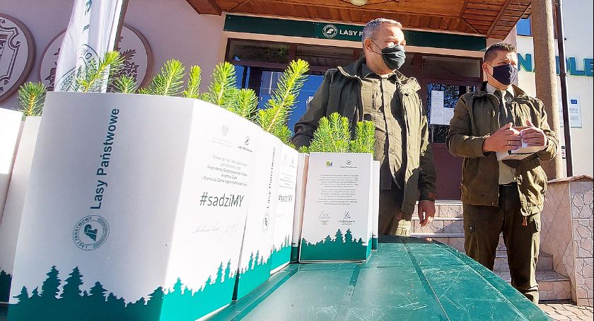 #sadziMY z Nadleśnictwem Łomża [VIDEO]