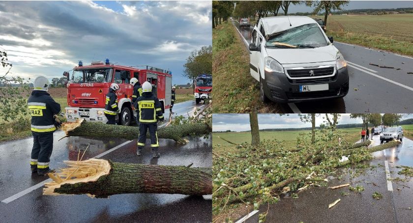 Silny wiatr wyrządził szkody [FOTO]