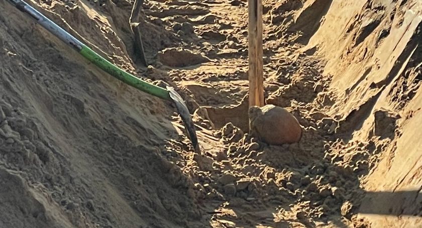 Wykopali ludzką czaszkę! [FOTO]