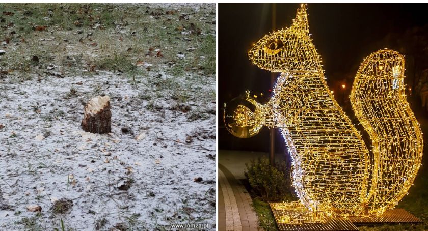 Ktoś ukradł świerk i zniszczył nową iluminację!
