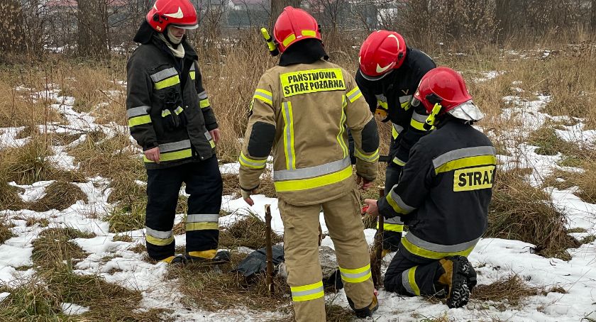 Strażacy uratowali psa. Wpadł do rury rewizyjnej [FOTO]