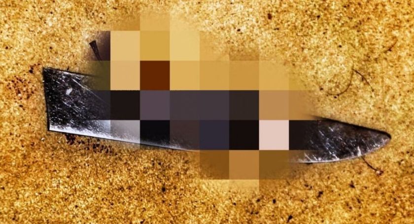 Przerażające zabójstwo. 35-latek przeciął pokrzywdzonemu tętnicę!