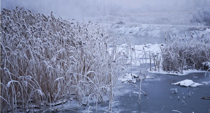Uwaga na silny mróz! Lokalnie nawet -23°C