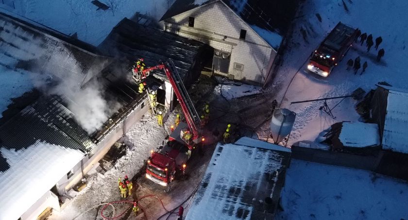 Płonie chlewnia w Dłużniewie [VIDEO i FOTO]