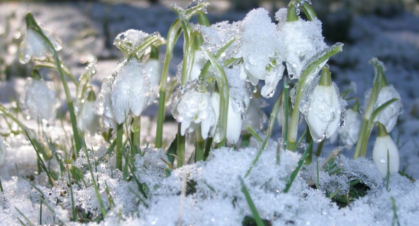 Prognoza pogody na nowy tydzień. Zbliża się wiosna!