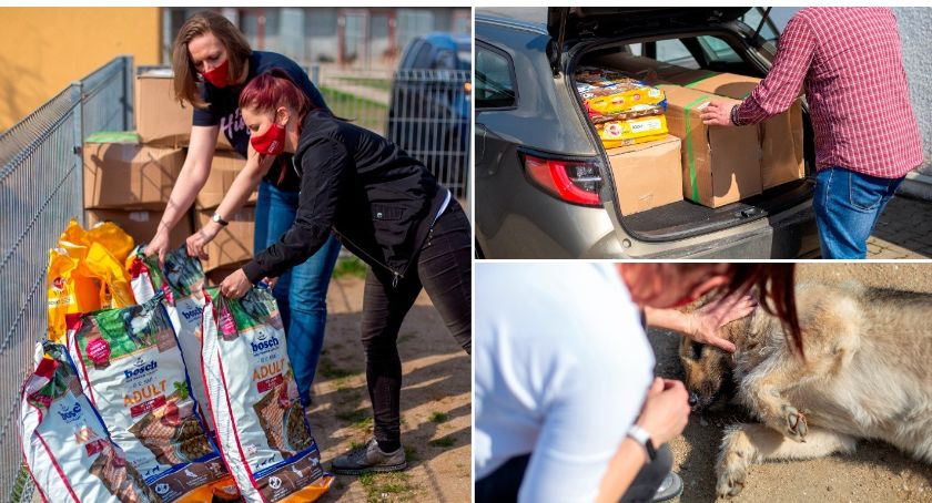 Galeria Veneda przekazała prawie pół tony karmy dla łomżyńskiego schroniska [FOTO]