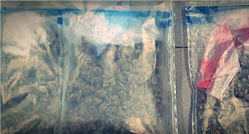 Marihuana w mieszkaniu! Drzwi otworzyła policjantom starsza kobieta