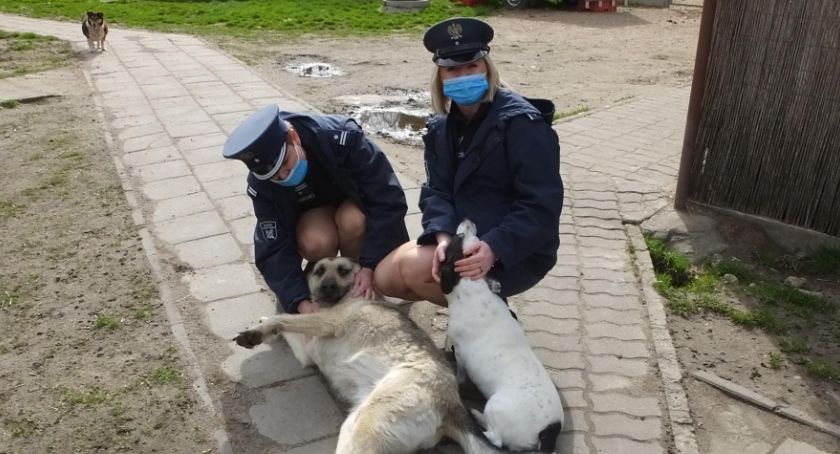 Więzienni funkcjonariusze wsparli łomżyńskie schronisko