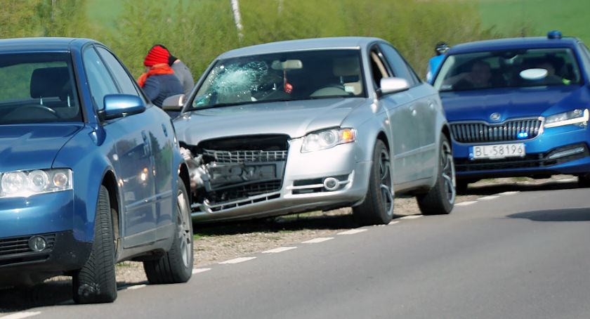 Łomża – Nowogród: Sarna na masce audi [FOTO]